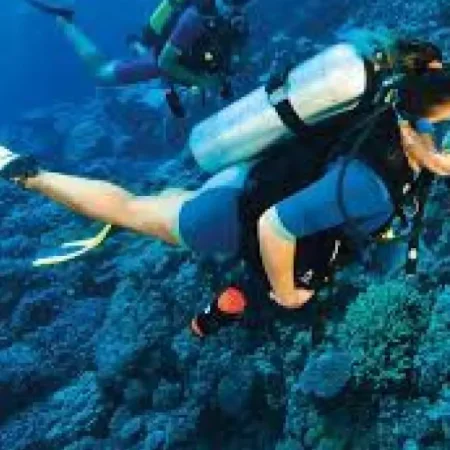 Kemer Çıkışlı Tüplü Dalış(Diving) Turu