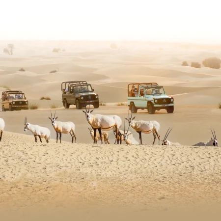 Dubai Akşamı Geleneksel G-Class Safari, Al Marmoom Vahası'nda Akşam Yemeği ve Bedevi Eğlenceleri ile